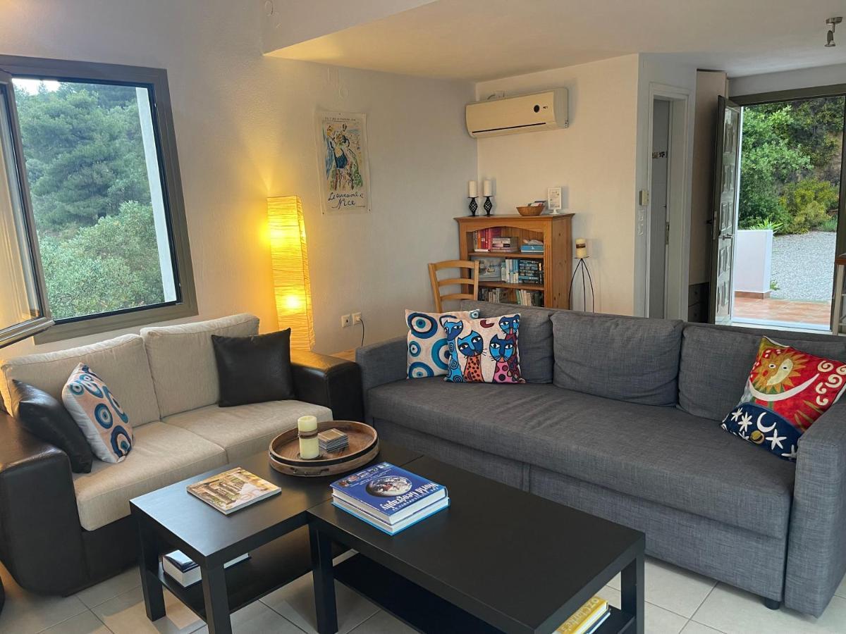 Skiathos Seaview Villa With Pool Punta エクステリア 写真