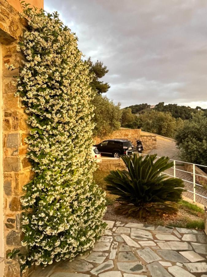 Skiathos Seaview Villa With Pool Punta エクステリア 写真