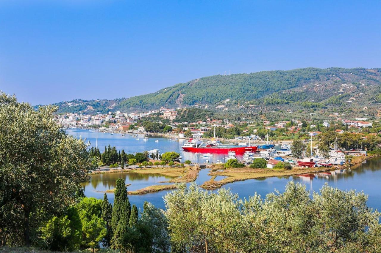 Skiathos Seaview Villa With Pool Punta エクステリア 写真