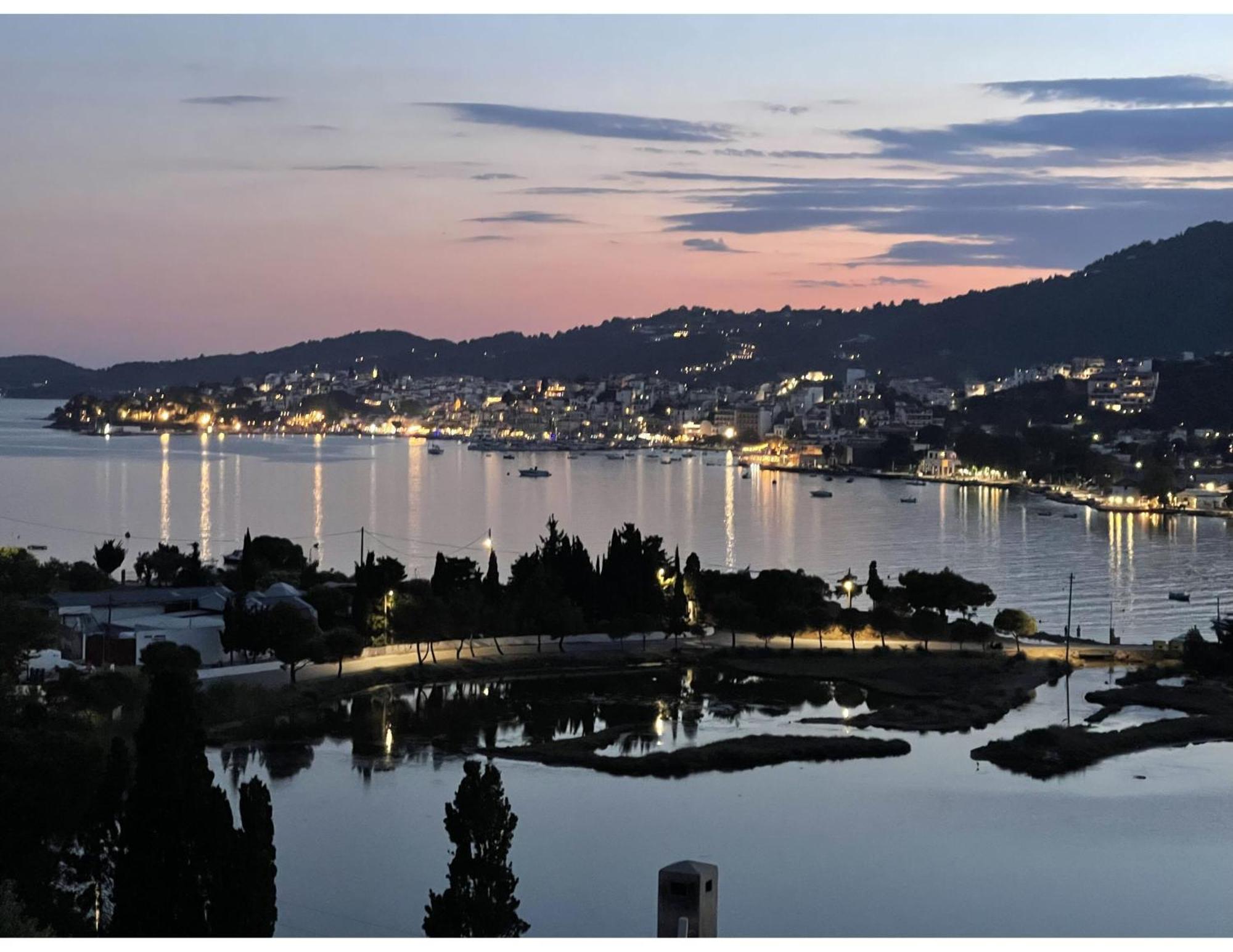 Skiathos Seaview Villa With Pool Punta エクステリア 写真